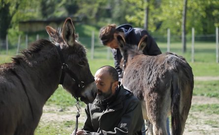Videoclip, Centro soranzo poster